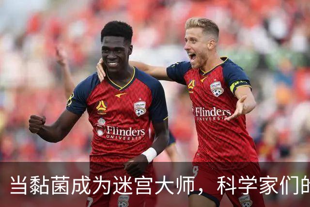 当黏菌成为迷宫大师，科学家们的争论还是继续